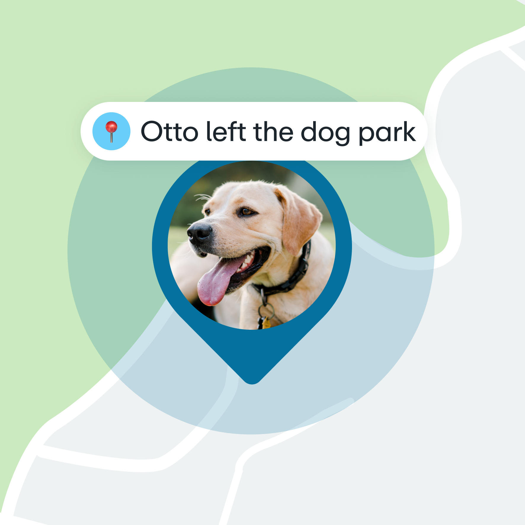 Greenlight Safe Pets - GPS tracker