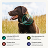 Greenlight Safe Pets - GPS tracker